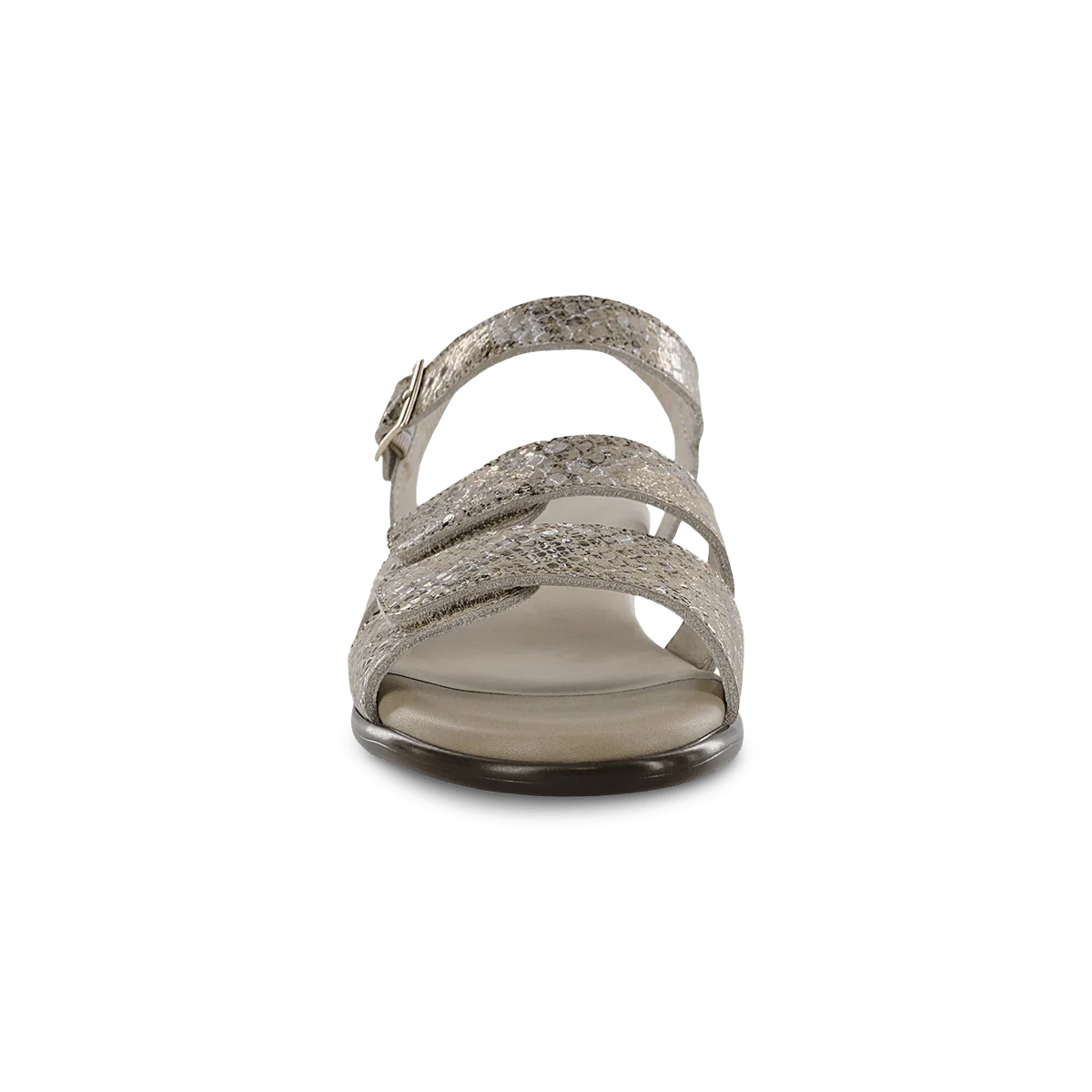 Savanna Multisnake Gold - Image 5