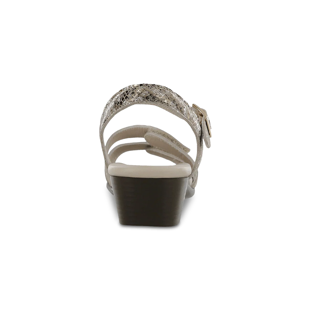 Savanna Multisnake Gold - Image 6